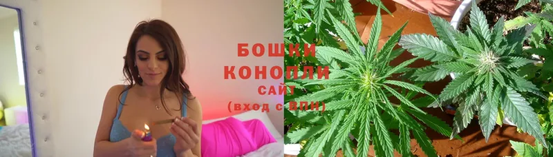 Каннабис SATIVA & INDICA  купить   Курган 